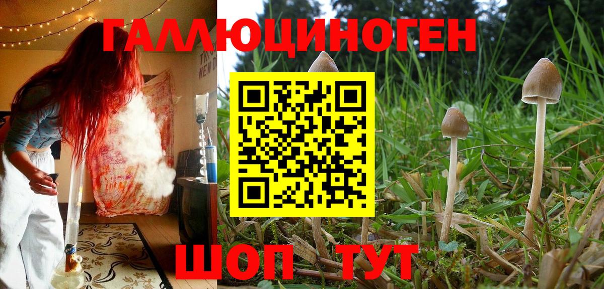 Галлюциногенные грибы мухоморы  Псилоцибиновые грибы GOLDEN TEACHER  Вход с VPN  Мелеуз 